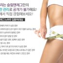 슬림앤레그 - 부산진구 서면로 67 | 슬림앤레그
