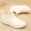 태풍소프트 이미지