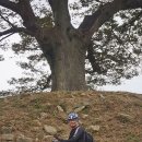 부여(임천)-14 이미지