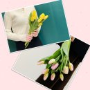 다비농장 이미지