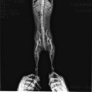 메트로동물병원 이미지