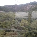 부산남문시장 이미지