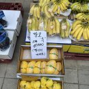 다온장터 - 부산진구 냉정로 223-1 | 다온장터