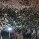 (주) 암새들 이미지