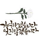 에노스장례