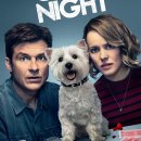 데일리 게임존 이미지