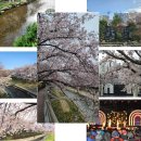 태화로타리하부공영주차장앞 이미지