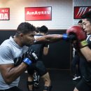 팀 매드 이미지