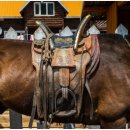 코미타투스 이미지