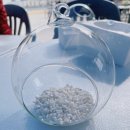 반려식물 테라리움 만들기 이미지