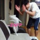 네발친구 이미지