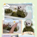 아이상상스튜디오