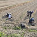 고령군농업기술센터 이미지