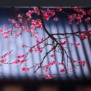 동산하우스 이미지