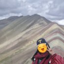 남미여행 DAY 9: 안녕하세요 걸어다니는 엘지트윈스 홍보판넬입니다 ~비니쿤카 무지개산 투어~