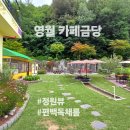 금당작은도서관 이미지