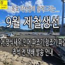 9월 제철생선(전어,양식새우,민어,파조기,참조기,파갈치) 추석 전 택배 발송 안내 입니다. 이미지