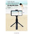 셀피스