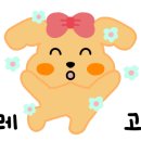 대구생막창 이야기