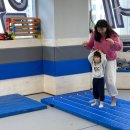 태권나래 태권도장 이미지