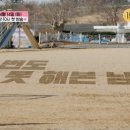 솔로연돌싱