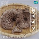 나능이버섯백숙(지행점) 이미지