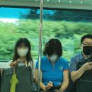 여주역공인중개사 | 10주차, 여주.광주 실전경매 임장후기~