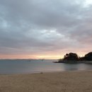 신탄진로 이미지