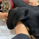 산청동물병원 이미지