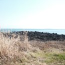 미로객잔 이미지