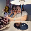 일상 | 다들 8월 어떻게 보내셨나요 ~?~?~?