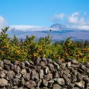 연강의료재단 이미지