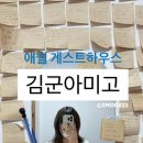 애월게스트하우스 조용한 김군아미고 게하 후기