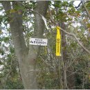 화원삼거리 이미지