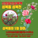 성복역강남공인중개사사무소 이미지