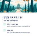 수덕사 야영장 이미지