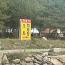 가평 계곡 옆 개울가 오토캠핑장 B6 후기