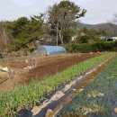 부산농장 이미지