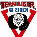 팀라이거복싱 이미지
