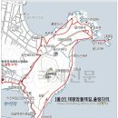 제239차 울산광역시 동구 대왕암공원(출렁다리) 정기산행 공지 이미지