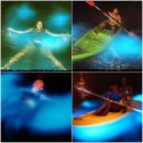 리코바이오 이미지