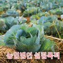 행정사법인부산 Daum카페