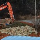 중추양계장 이미지