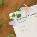 노원-공릉-3298 | [Sonnets] 베이직클래스 _ 플라워바스켓 후기