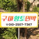 구마황토민박 이미지