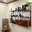 스테이소이