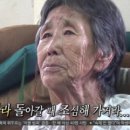 日 우토로 ‘강제징용’의 산증인…강경남 할머니 별세 이미지