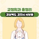 손승권치과의원 | 경상북도 경주시 서부동 교정치과 총정리