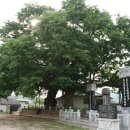이점신도비 네이버블로그