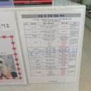 와우동물메디컬센터 | 강아지 눈 비립종/ 비수술치료/ 익산 와우동물병원(현 와우동물메디컬센터) + 6개월 후